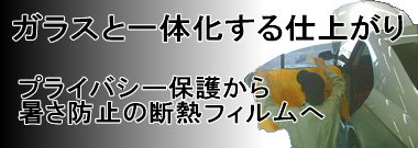 �Ԃ̃J�[�R�[�e�B���O�E�K���X�R�[�e�B���O�̃C���I�X�^���C���摜